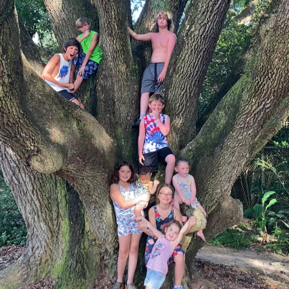 Kids in a tree